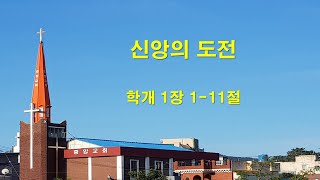 2024년 11월 17일