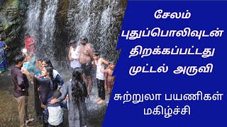 முட்டல் அருவி திறக்கப்பட்டது | Salem Muttal Falls Current Update | Waterfalls in Salem | Attur