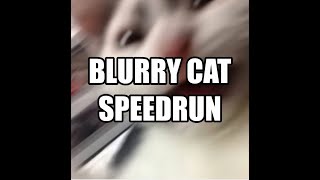 Blurry Cat Speedrun