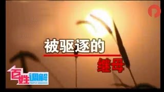 《百姓调解》被驱逐的继母