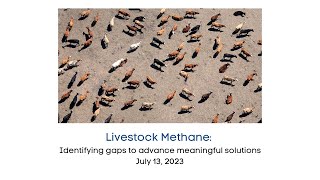 Livestock Methane: Identifying gaps to advance meaningful solutions