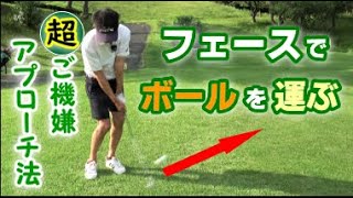 フェースniボールを乗せて運ぶ！超簡単なアプローチの打ち方のコツ！