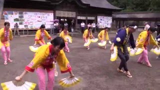 藤崎すずめ連　どんとロード八幡仙臺雀踊り2015