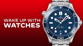 2021 Omega Seamaster Diver 300M: I Review The Ultimate Dive Watch For Under $5,000