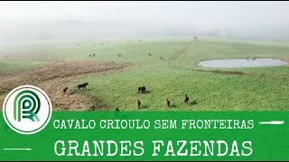 Grandes Fazendas Especial Freio de Ouro - Cabanha do Parque