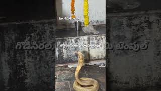 Godiserala rajanna temple||Maha Shivaratri|| #like #share #subscribe #comment #subscribetomychannel