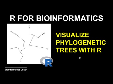 R For Bioinformatics How To Visualize Phylogenetic Trees Using Ggtree