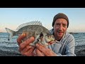 BEACH FISHING FOR BREAM | CATCH & COOK | FISH TACOS