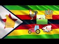 what is the meaning of the flag of zimbabwe