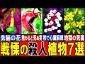 【閲覧注意】あまりに危険すぎる殺人植物７選【ゆっくり解説】【動物おもしろ雑学】