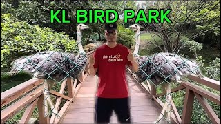 🇲🇾 KL Bird Park 2024 - Walk Tour Part 1 Ultimate Guide to the World's Largest Free-Flight Aviary