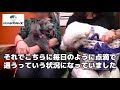 横浜駅の動物病院「わかば犬猫病院 横浜西口駅前」の患者の声（神奈川区）