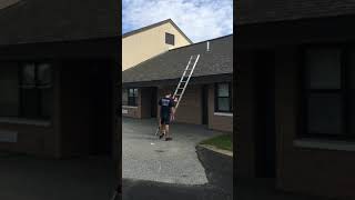 Engine 3 rescues a teddy bear from the roof of Myron Francis School.