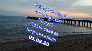 Феодосия❤Приморский ❤01.02.25 Что происходит? 😱В поисках мазута!!! Самая свежая информация!!! 😳