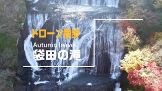 【いばらきドローン散歩Vol.033】Autumn Leaves 袋田の滝／茨城県大子町袋田