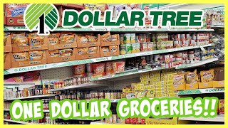 DOLLAR TREE GROCERIES COME WITH ME WALKTHROUGH 2021