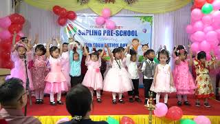 Sapling Pre-School 9th Foundation Day - Skidamarink A Dink A Dink