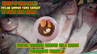 Umpan Racikan Khusus Nila Babon || Dijamin Pasti Dapat