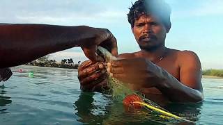 கடலுக்குள் அடியில் மீன்கள் பிடிக்கும்  வலை எப்படி இருக்கும் தெரியுமா??