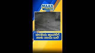 ಚಿರತೆಯ ಹಾವಳಿಗೆ ಸಾಕು ನಾಯಿ ಬಲಿ #Udupi #LeopardAttack #WildlifeConflict #ForestDepartment #Perdoor