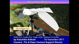 SnowyOwl35iVV2-1: First Test Flight