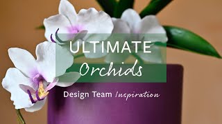 Design Team Inspiration | Flower Pro Orchids For Cakes & Crafts