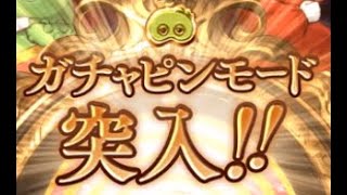 【グラブル】やっぱり信じれるのはガチャピン様だけですわ！【結月ゆかり】