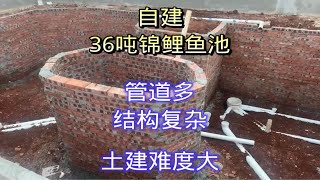 帮海南粉丝设计修建36吨鱼池，异形结构6仓过滤，混泥土浇筑