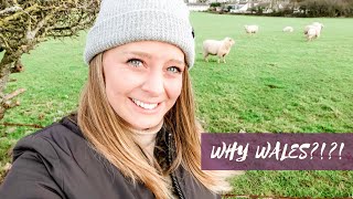 Why Wales? | Visa ?| Work ? | American Living in the UK