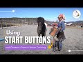 Using Start Buttons and Consent Cues in Horse Training