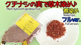 【栗きんとんだけじゃない！余ったクチナシの実で染色♪】(Vegetable dyeing with gardenia fruit.)フルver.