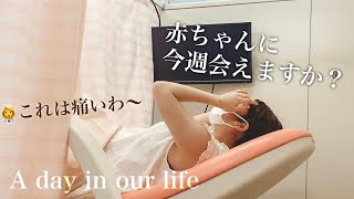 【臨月】正期産に突入した妊婦健診の1日Vlog!! 🤰【ゆるVlog】A day in our life