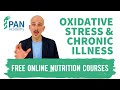 Oxidative Stress & Chronic Low-Grade Inflammation | PAN Academy | Free Online Nutrition Courses