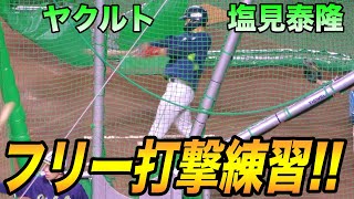 塩見泰隆のフリーバッティング練習【ヤクルトスワローズ 2020年プロ野球】