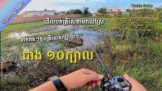 ប្លង់ស្រែវាលស្បូវ Ep001 សំបូរតែកូនត្រីដាក់វាត់ៗ ជាង ១០ក្បាល | Happy fishing in my countryside.