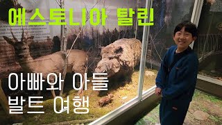 [내차 밖은 유럽 #27, 🇪🇪 에스토니아] 탈린, 아쉬움을 남기고 핀란드로 갑니다