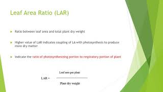 Plant growth analysis