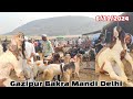 Ghazipur Bakra mandi live update 6/11/2024 Delhi totapuri and Mewati khubsurat bacche