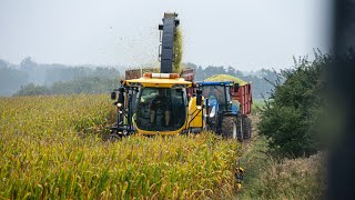 Corn and moped