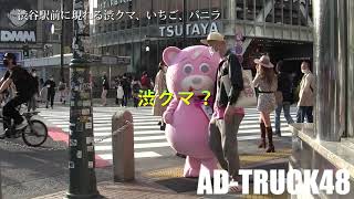 渋谷をパトロールする所轄PC！駅前に渋クマ、いちご、バニラがやってくる