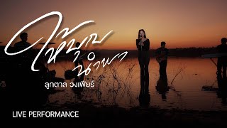 ให้บุญนำพา - ลูกตาล วงเฟียร์ live【Live Cover version】Original :  ไหมไทย หัวใจศิลป์