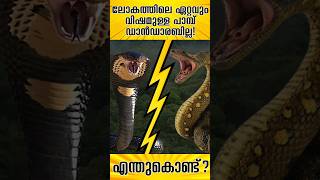 ലോകത്തിലെ ഏറ്റവും വിഷമുള്ള പാമ്പ് ഡാൻഡാരബില്ല!എന്തുകൊണ്ട്?|Venomous snake|Inlandtaipan #snake