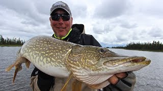 Hefty Misekumaw Lake Pike!