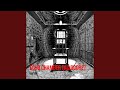 Echo Chamber (Acidcore)