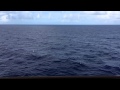 Ocean View - 1 Full Hour HD - Cruise Ship Balcony