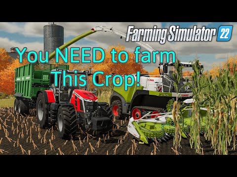I tested what the best crop in fs22 is!