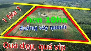 Siêu phẩm hơn 10ha..1 bìa 1...đường đi bao quanh..còn chần chờ gì nữa..