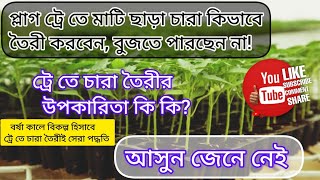 প্লাগট্রে তে মাটিছাড়া চারা কিভাবে তৈরী করবেন? বর্ষাকালে বিকল্প হিসাবে ট্রেতে চারা তৈরিই সেরা পদ্ধতি