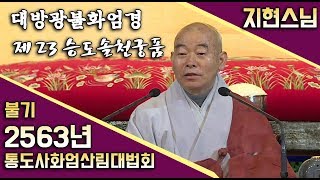 제23 승도솔천궁품 _ 지현스님 [불기2563년 통도사화엄산림대법회]