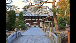 JG8K HDR 香川 国分寺(特別史跡/重文) 四国遍路80番札所 Kagawa,Kokubunji(Special Historic Site)Shikoku88 Pilgrimage No.80